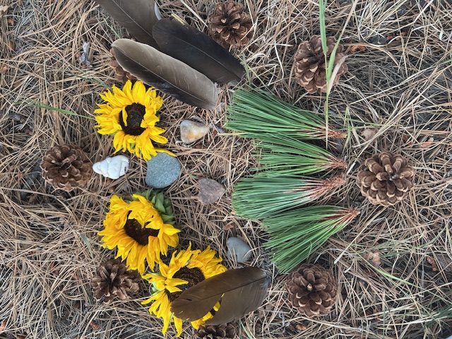 Nature mandala of sunflowers, pine, and stone